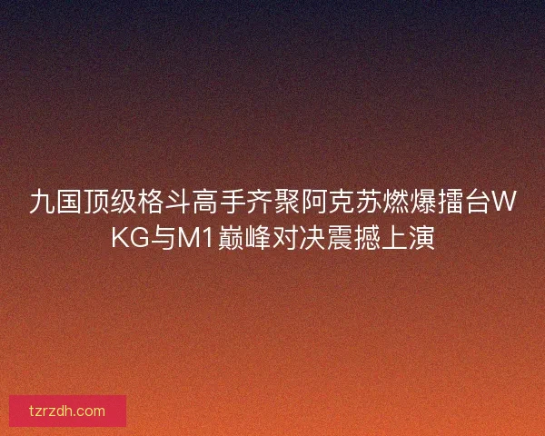 九国顶级格斗高手齐聚阿克苏燃爆擂台WKG与M1巅峰对决震撼上演